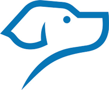 image of Blue Dog Business Services