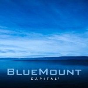 image of BlueMount Capital