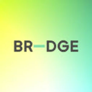 image of BR-DGE