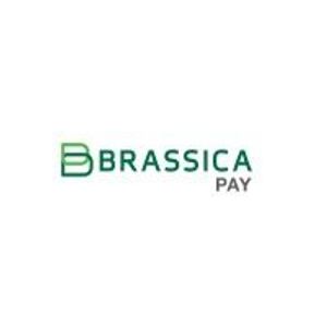 image of Brassica Pay