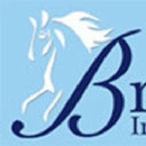 image of Bridlewood Insurance