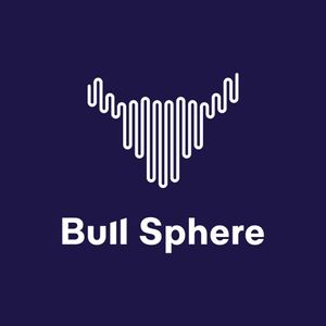 image of bull sphere