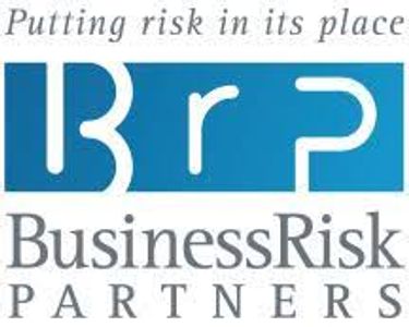 image of Business Risk Partners