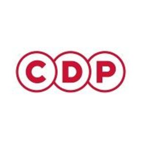 image of CDP Group