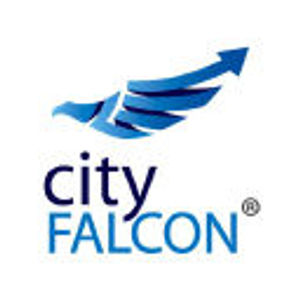 image of CityFalcon