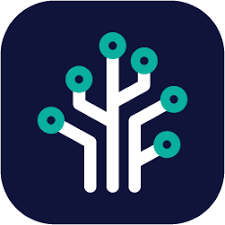 Merkle Capital