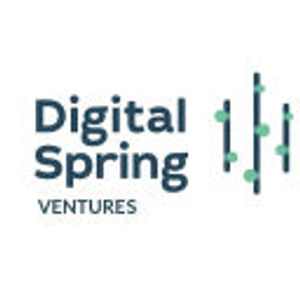 image of Digital Spring Ventures