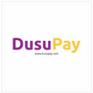 image of DusuPay.com