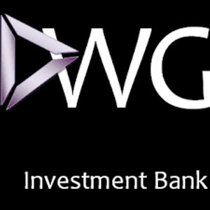 image of DWG Investment Bank