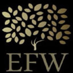 image of EFW Swiss AG