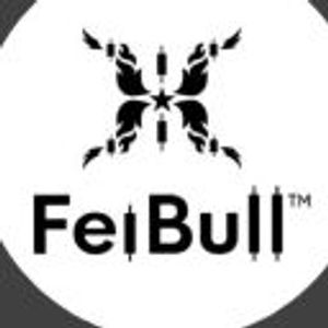 image of FeiBulls