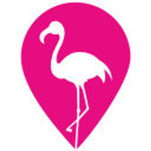 image of Flamingo