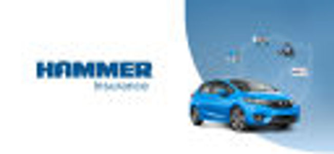 image of Hammer Insurance Services