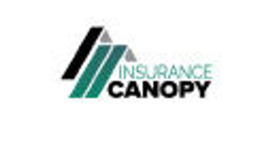 image of Insurance Canopy