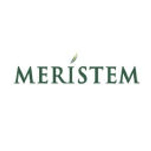 image of Meristem Wealth Management