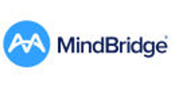 image of MindBridge AI