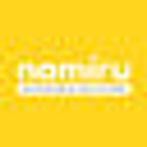 image of Namiru Solutions