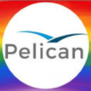 image of Pelican