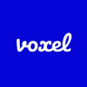 image of Voxel Group