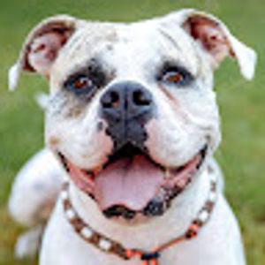 image of joy james