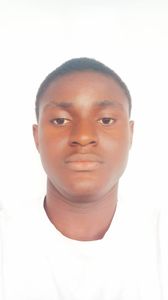 image of victor ibisi eme