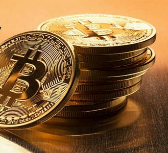 image of Cryptop1