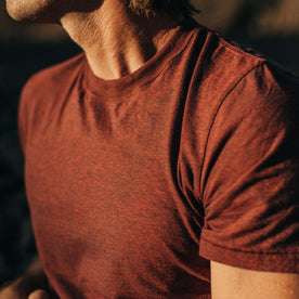 fit model showing the top of The Cotton Hemp Tee in Rust and Navy Stripe