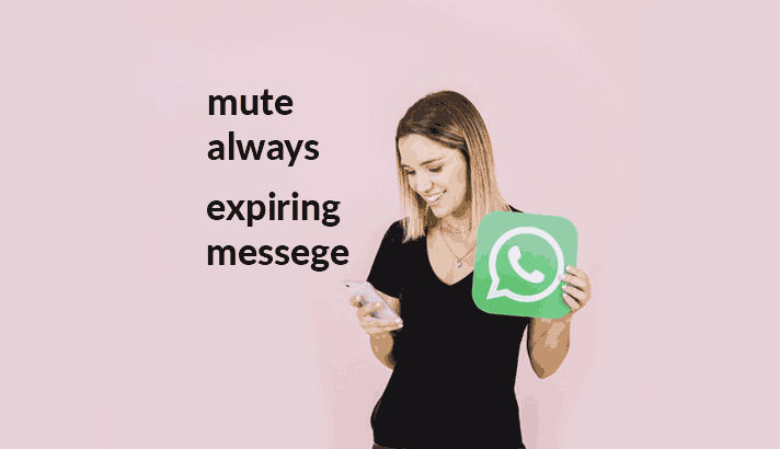 Fitur Mute Always Whatsapp