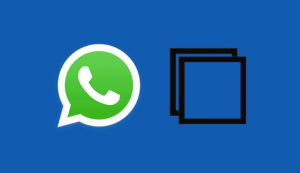 Kita bisa terapkan 5 Langkah copy paste pesan di Whatsapp