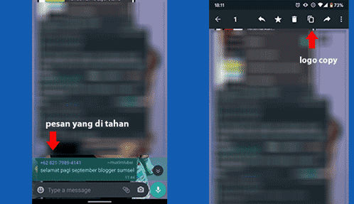 copy paste pesan di whatsapp