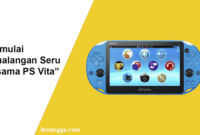 Petualangan Seru bersama PS Vita Konsol Mungil dengan Kualitas Fantastis