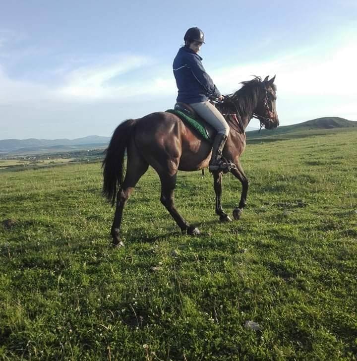 Ce spun clientii - TSH Stables Cluj-Napoca, centru de echitatie