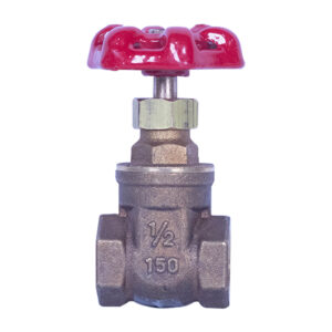 Brass Gate Valve (1/2")