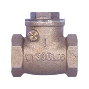 Brass Swing Valve (1")