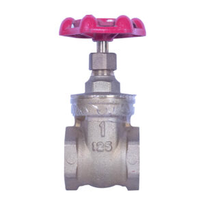 KITZ Japan Brass Gate Valve (1")