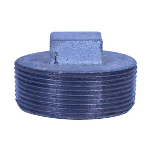 Galvanized Iron Heavy Duty Plug 50mm(2")