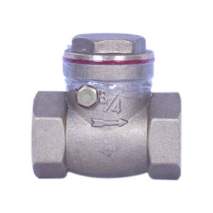 Begler Swing Check Valve 3/4"