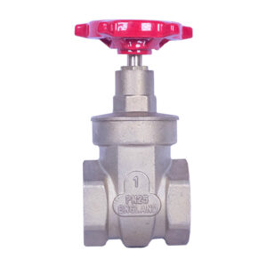 Begler Gate Valve (1")