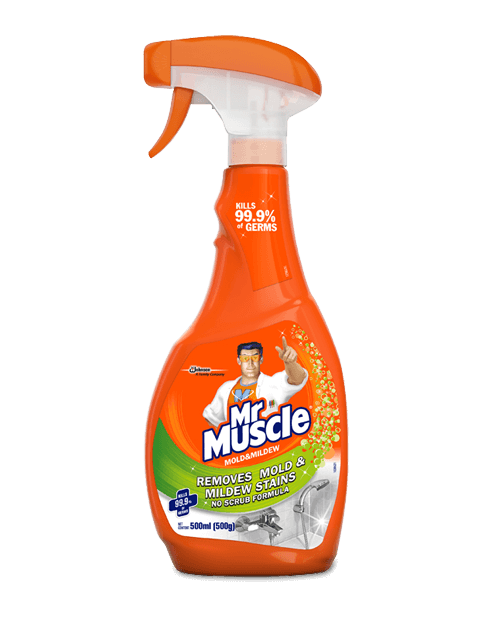 Mold & Mildew