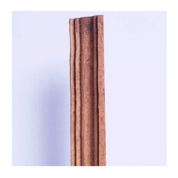 Design 1 Door Jambs 2" X 6" (Set) Tacloban Ultrasteel Corporation