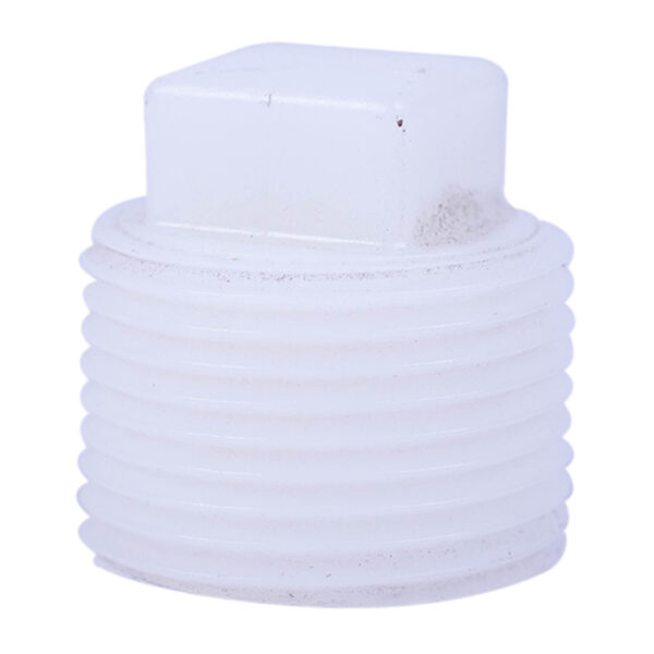 PE Plug 1"