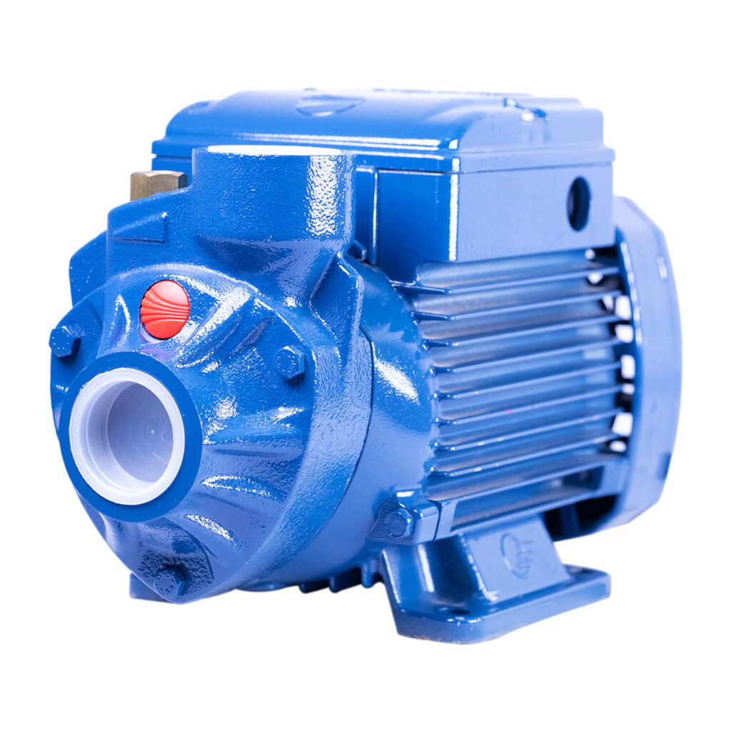 Pedrollo Water Pump Peripheral Booster PKm65 0.70hp Tacloban