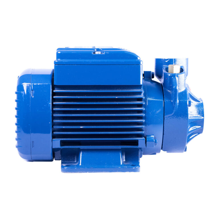 Pedrollo Water Pump Peripheral Booster PKm65 0.70hp Tacloban