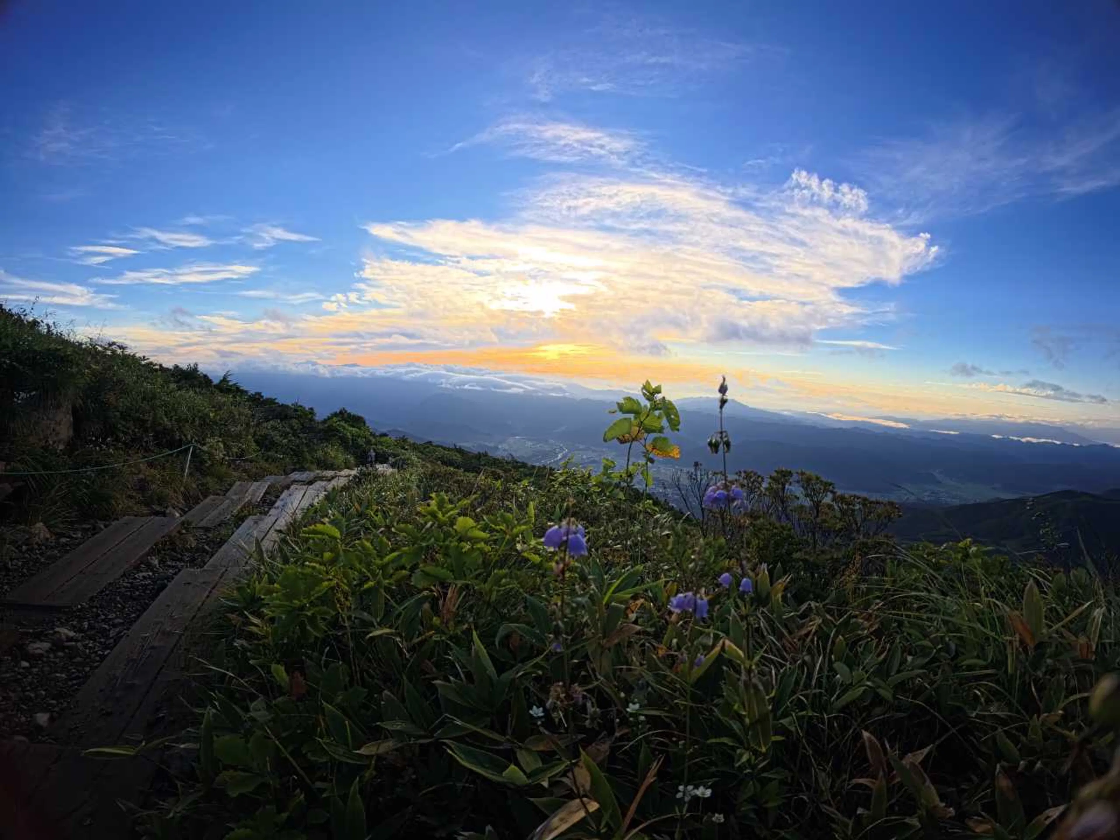 早朝唐松登山