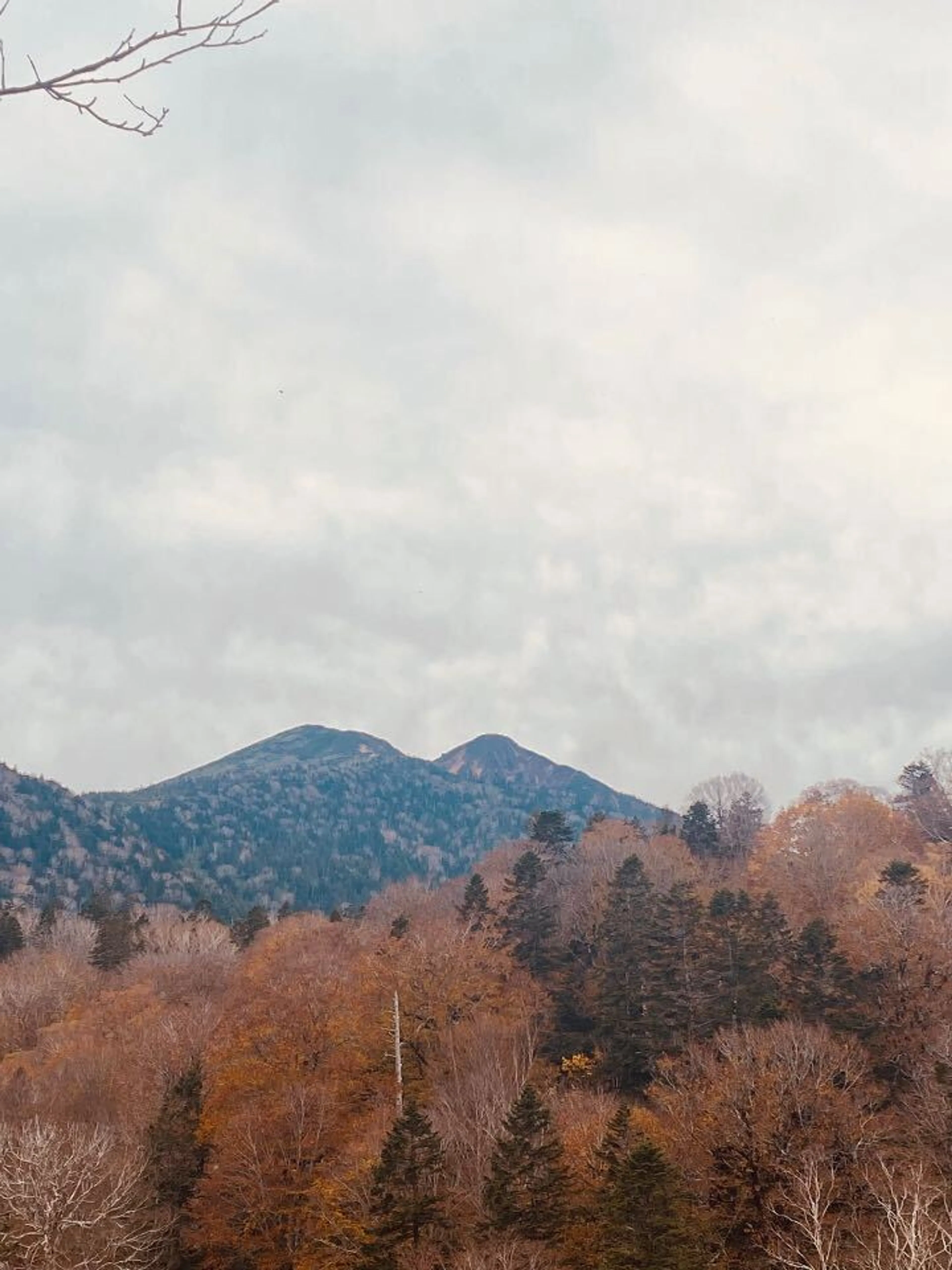 燧ヶ岳かな