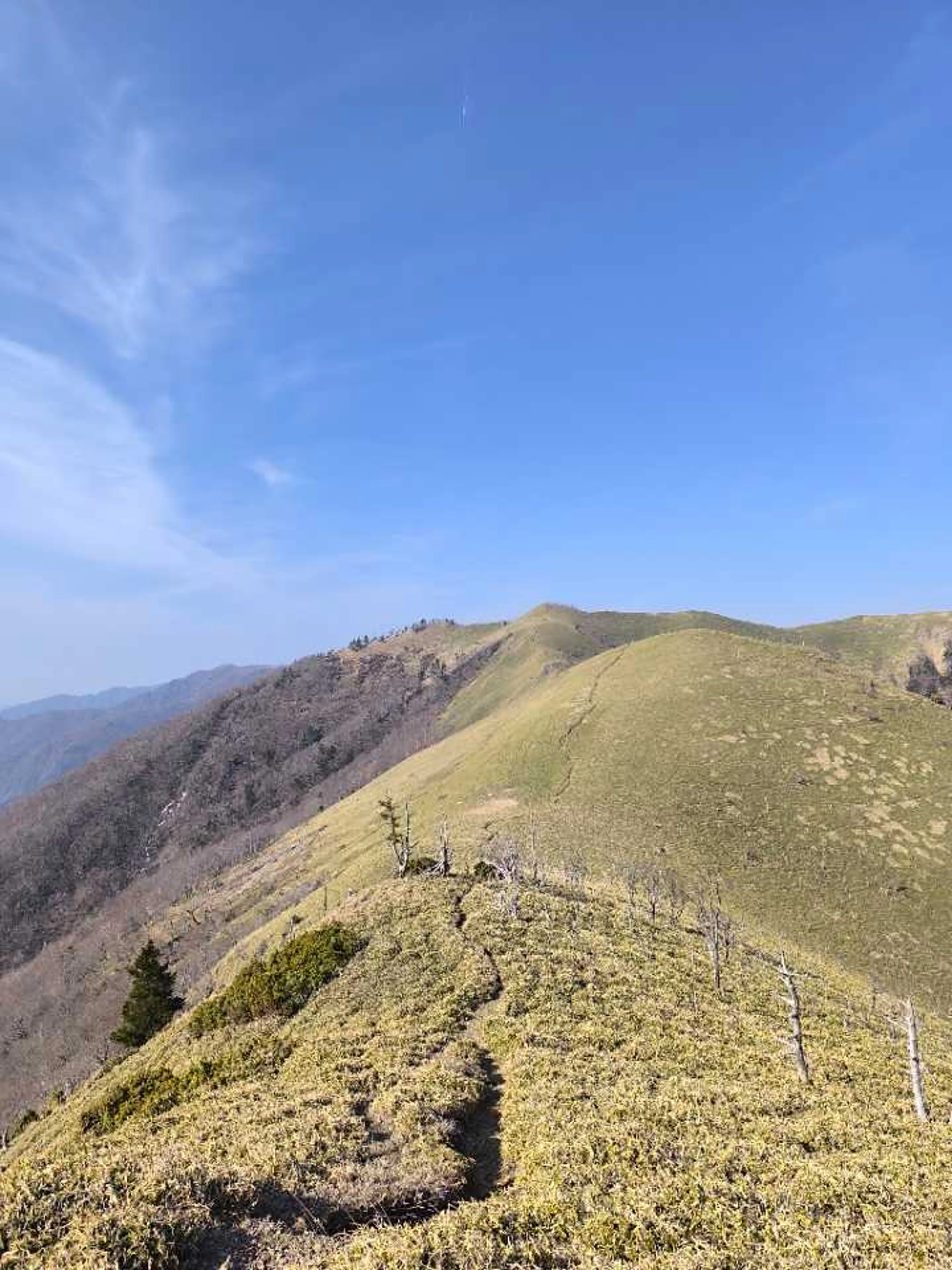 きれいな尾根線だ