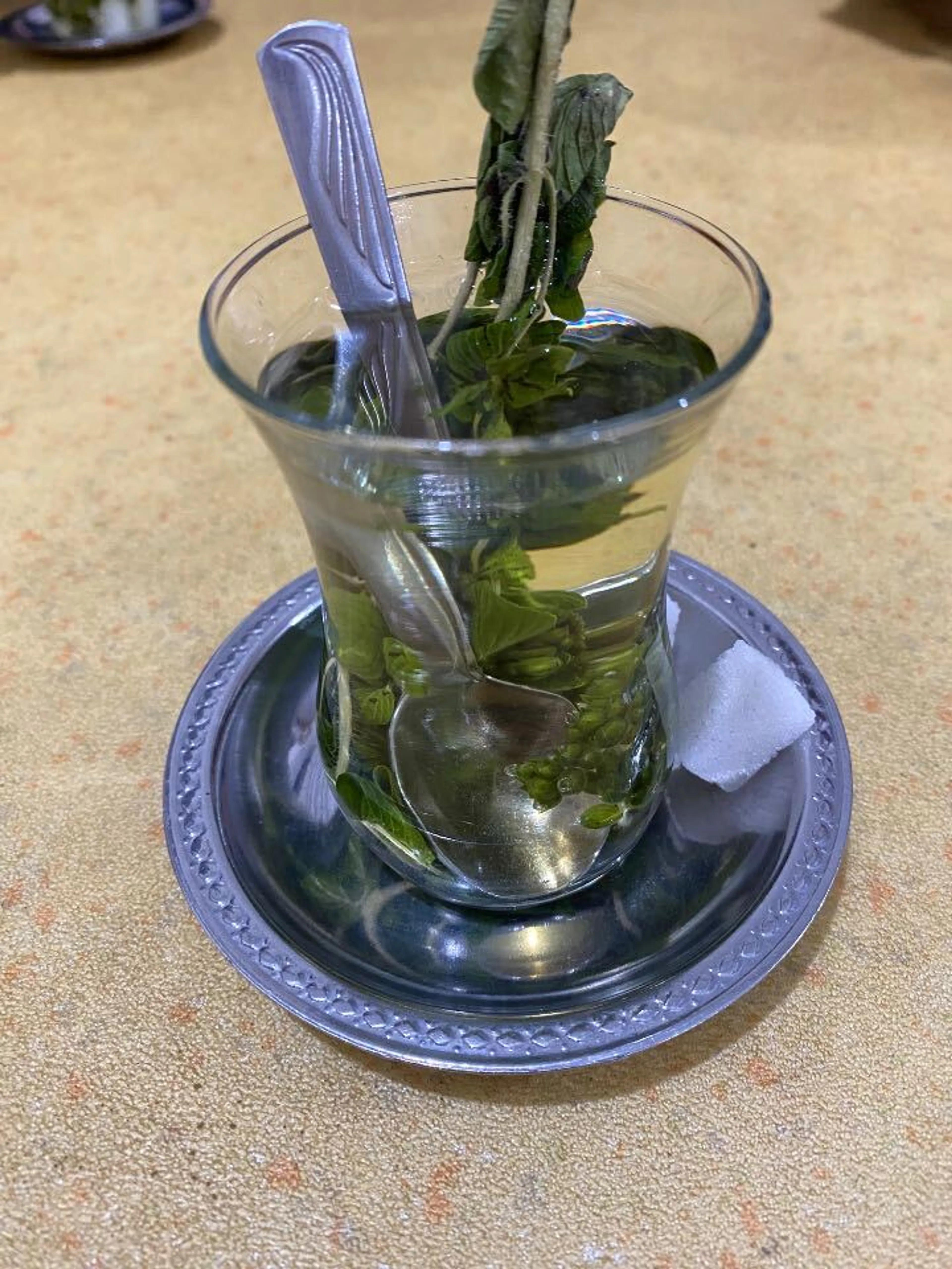 村のチャイハウスで「ナチュラル」チャイを飲んだ後，嘔吐．一回休み．