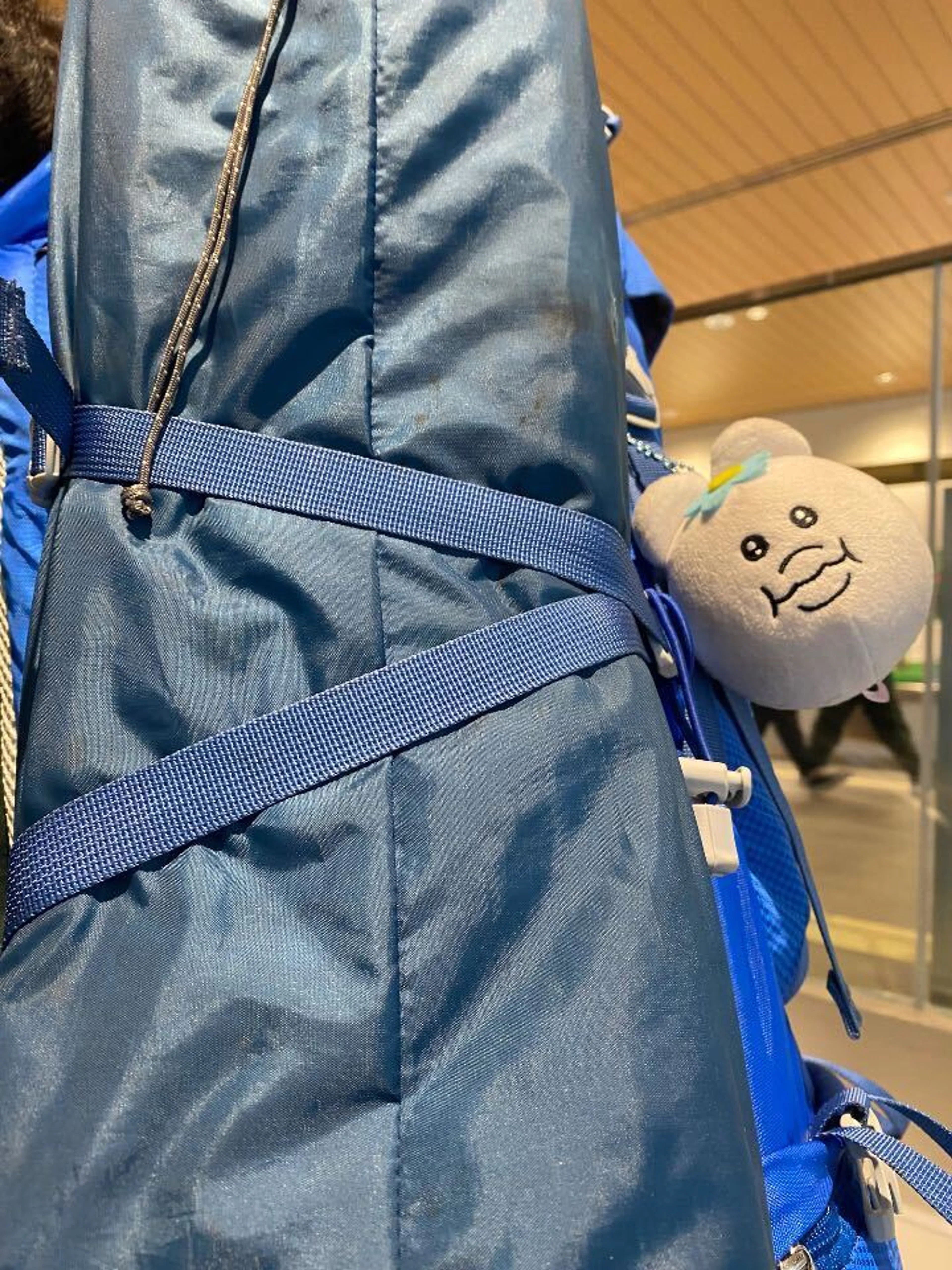 こっち見るな