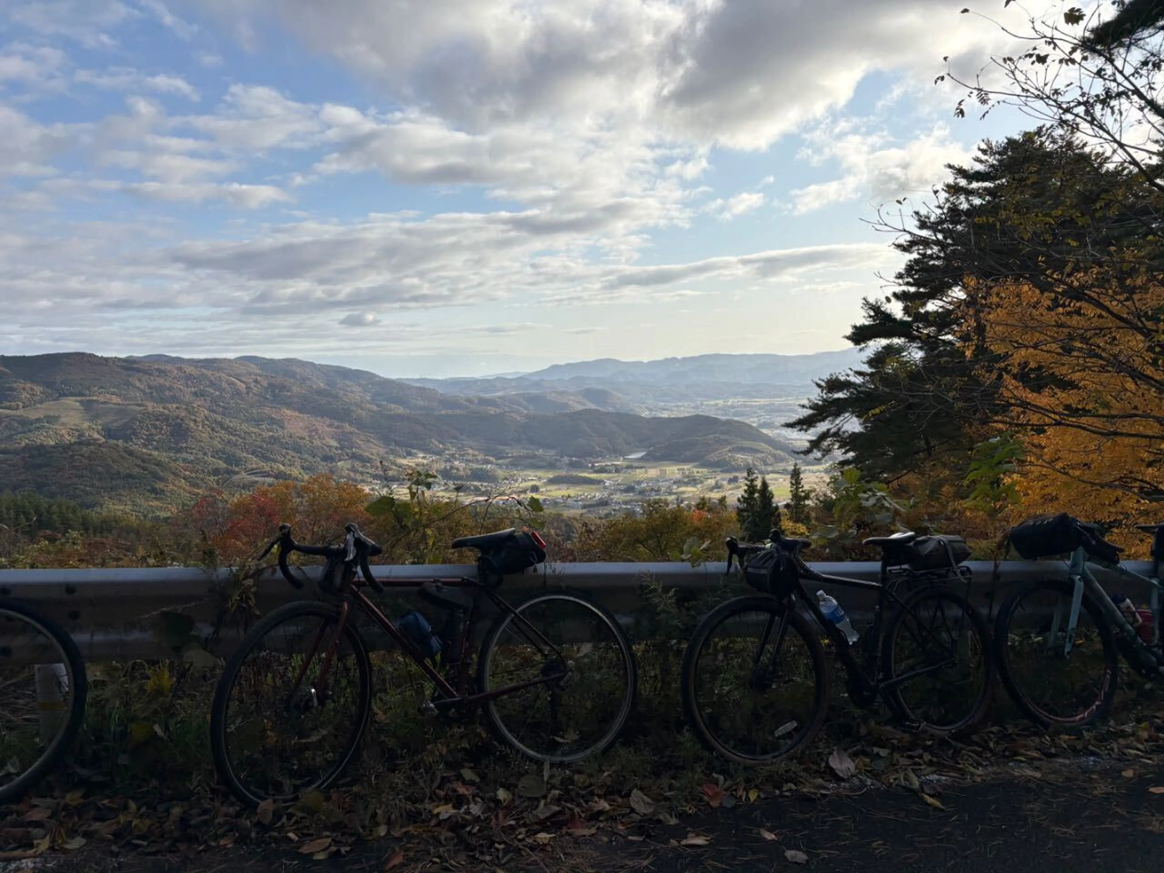 結構登りました。