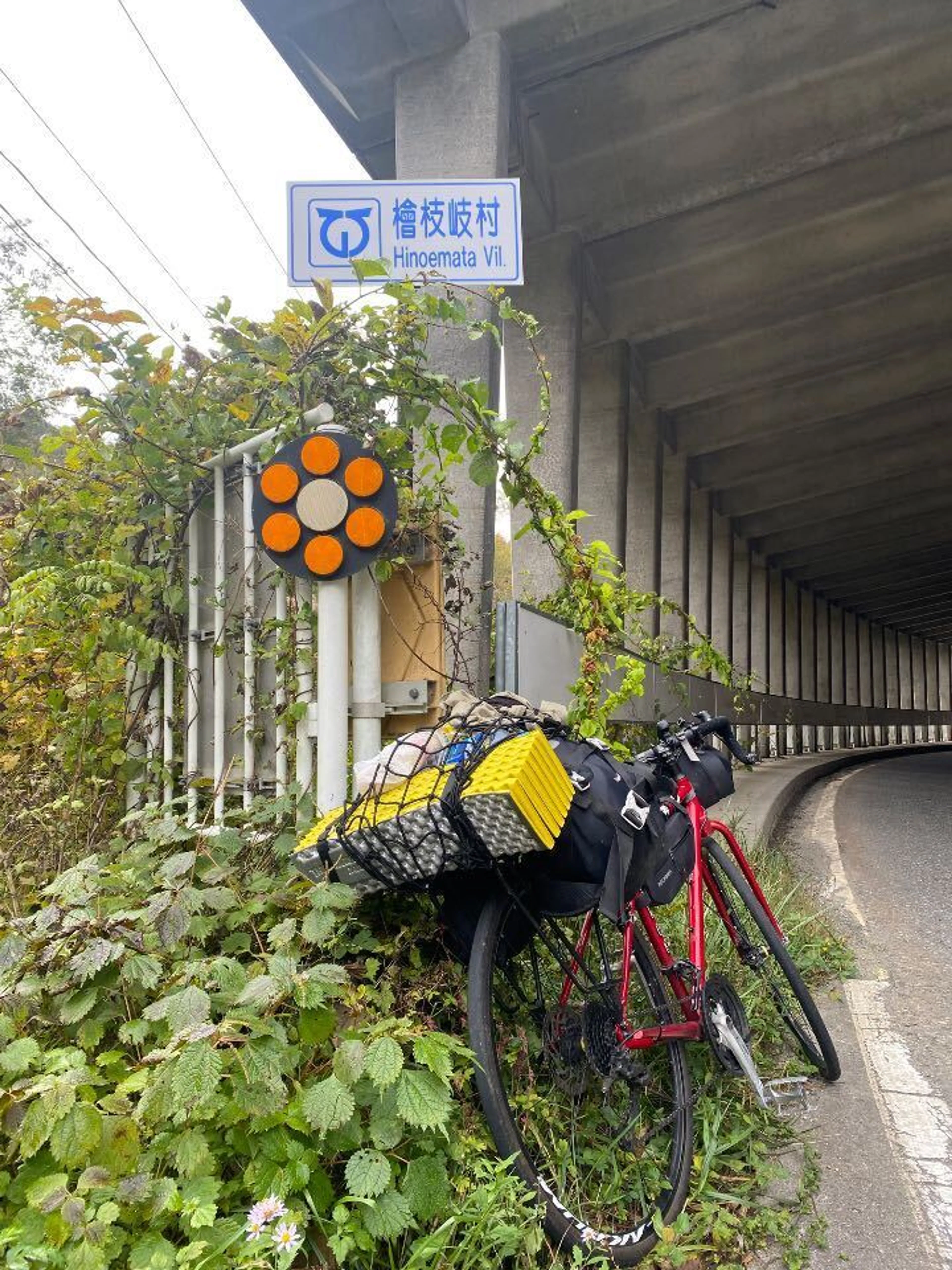 入村